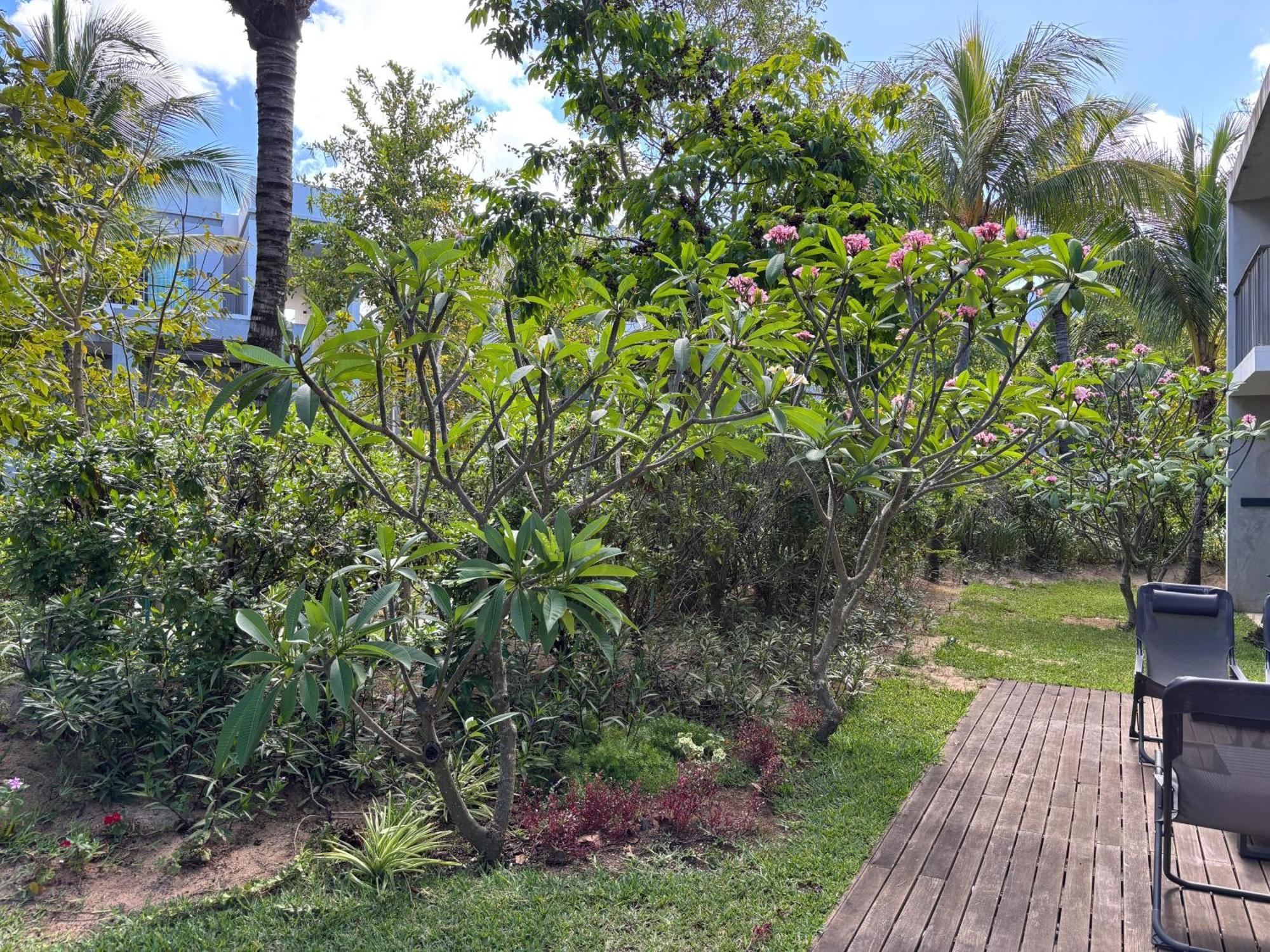 Appartamento Mont Choisy Le Parc By Pam Golding Esterno foto