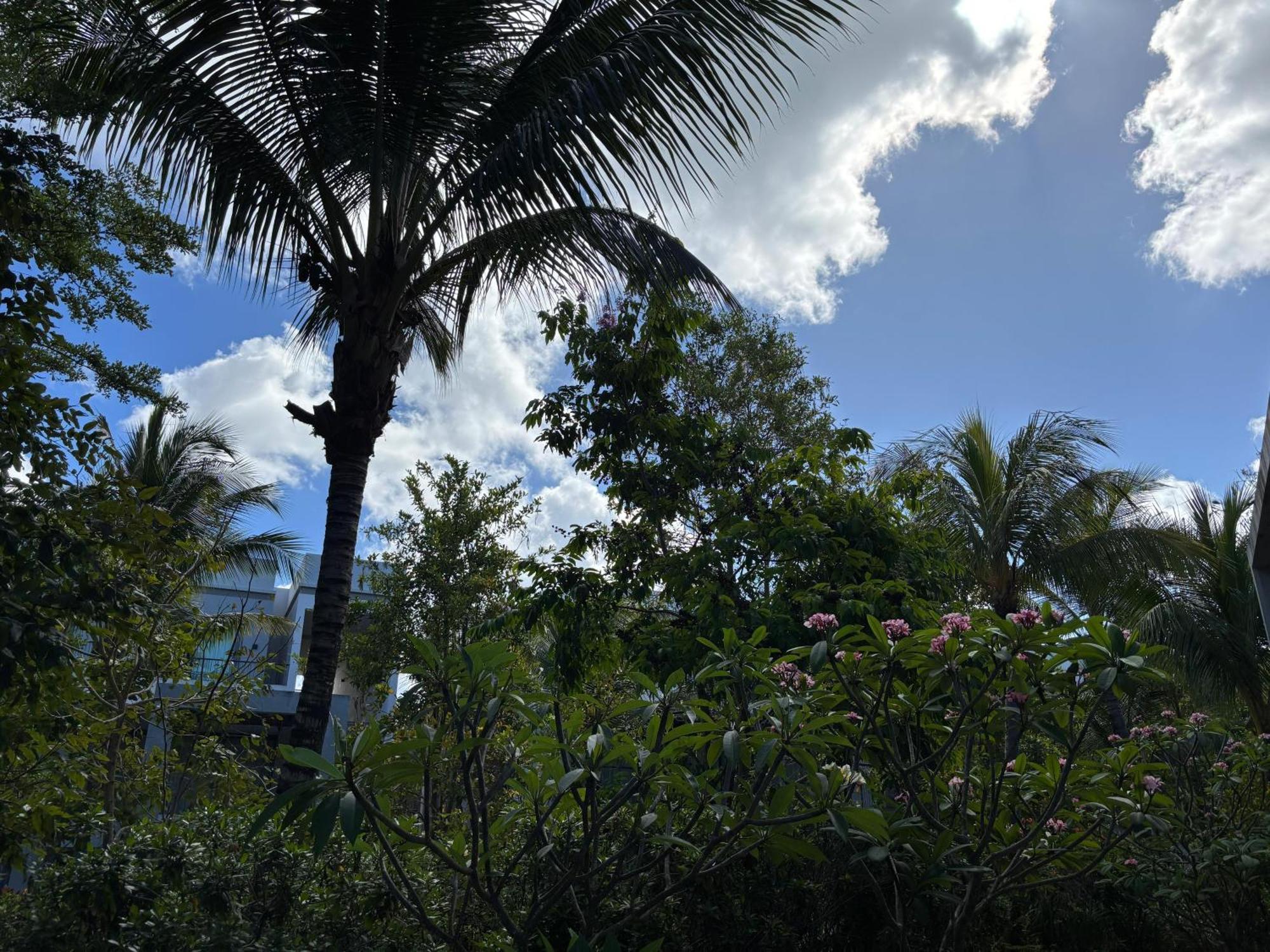 Appartamento Mont Choisy Le Parc By Pam Golding Esterno foto